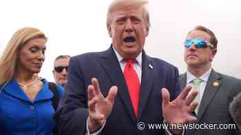 Rel in VS: ’Regering-Trump betaalde spotjes met geld voor grensbewaking’