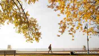 What the 'Super El Niño' means for fall colours in Ontario