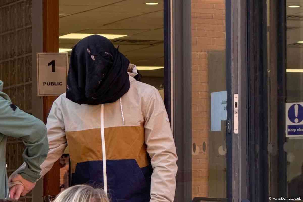 Teen Admits Trying to Have Sex With Shetland Pony Named 'Cheeky' and Faces Possible Jail Term