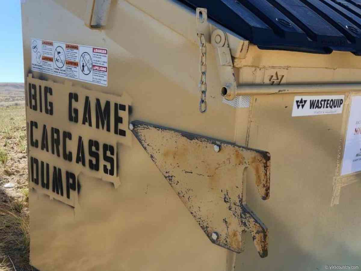 Where To Legally Dispose Of Your Hunting Remains In Wyoming