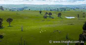 Verana with fertile creek flats and gently undulating grazing land | Video