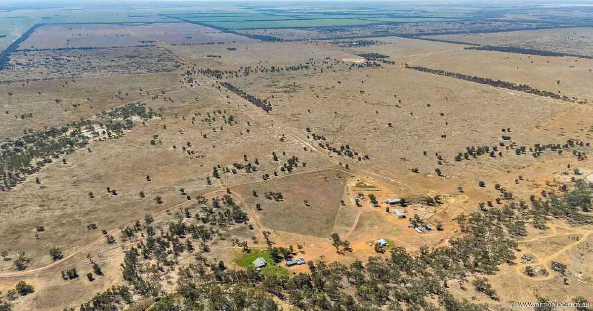 Cherry Park offers fully developed country with brigalow and belah soils