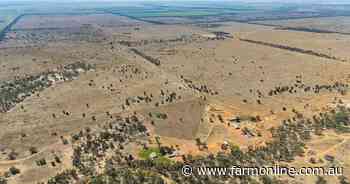 Cherry Park offers fully developed country with brigalow and belah soils