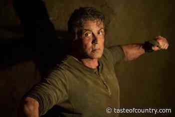 Sylvester Stallone Blames Himself for Cartoonish Rambo Sequels