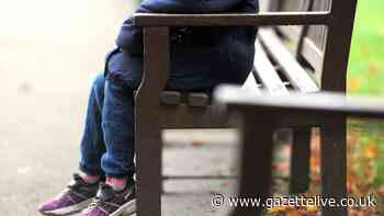 Council promises to be 'good neighbours' as objections raised over children's home proposal