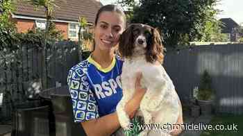 Spaniel among 84 dogs rescued from filthy house begins new life in the North East