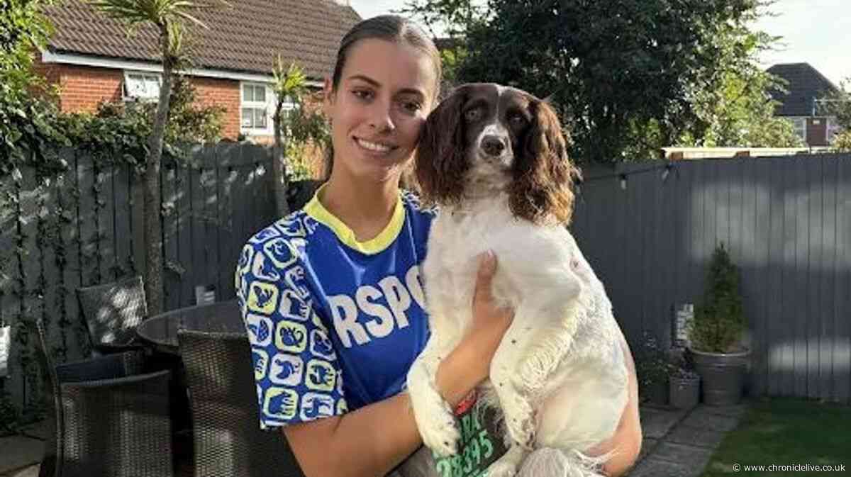 Spaniel among 84 dogs rescued from filthy house begins new life in the North East