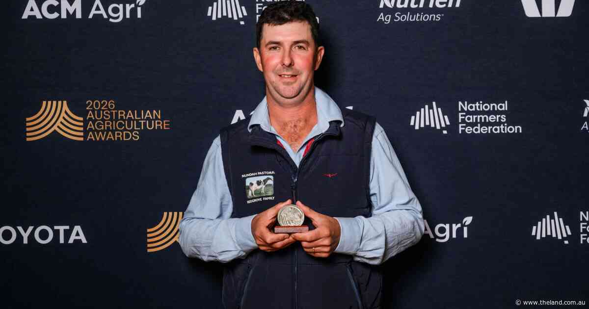 'Have a real go or get out of the road': shining a light on the dairy industry