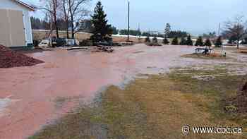 E. coli showed up in drinking water on P.E.I.'s South Shore. Now, residents want government to step in