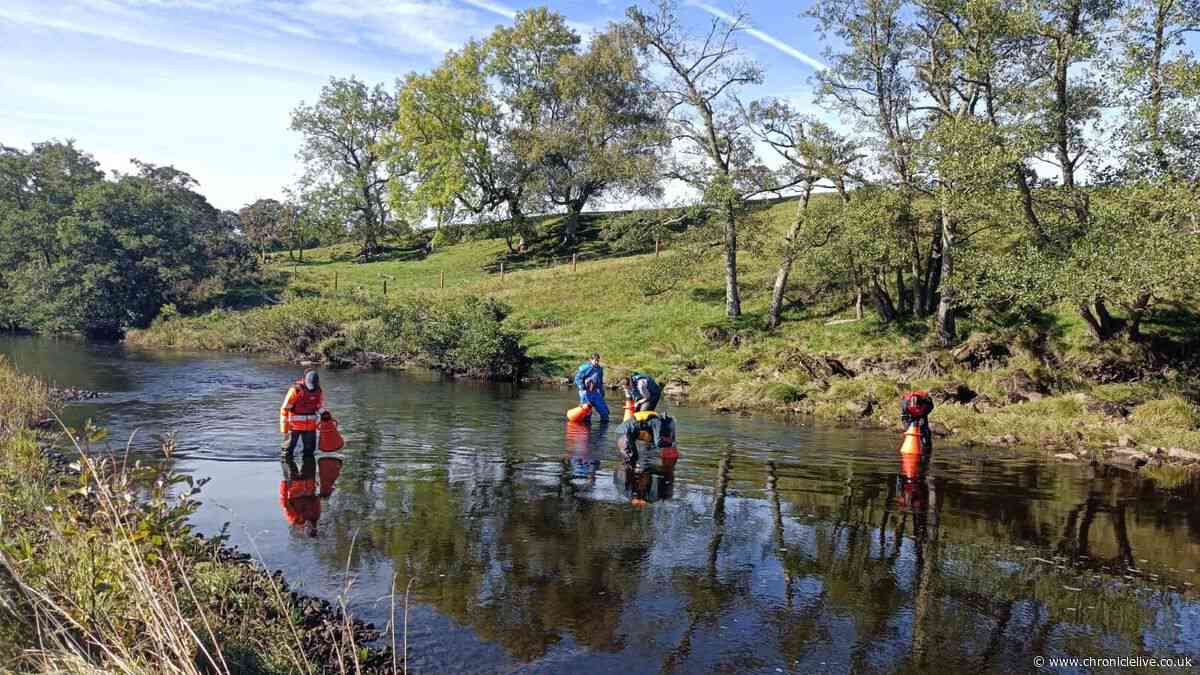 £249k investment awarded to support the future of the River Tyne