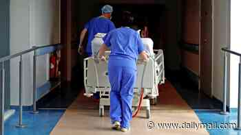 What doctors and virus experts are saying about the wave of American Covid sweeping Britain