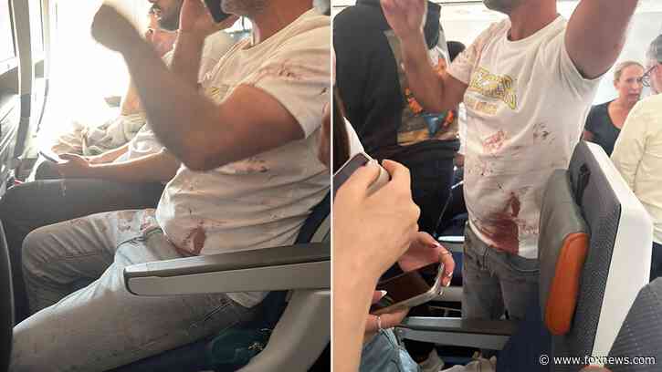 FlyDubai passenger says co-pilot stabbed captain before terrifying plunge, emergency landing