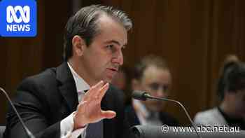 November interest rate rise a 'live' possibility, CBA chief says