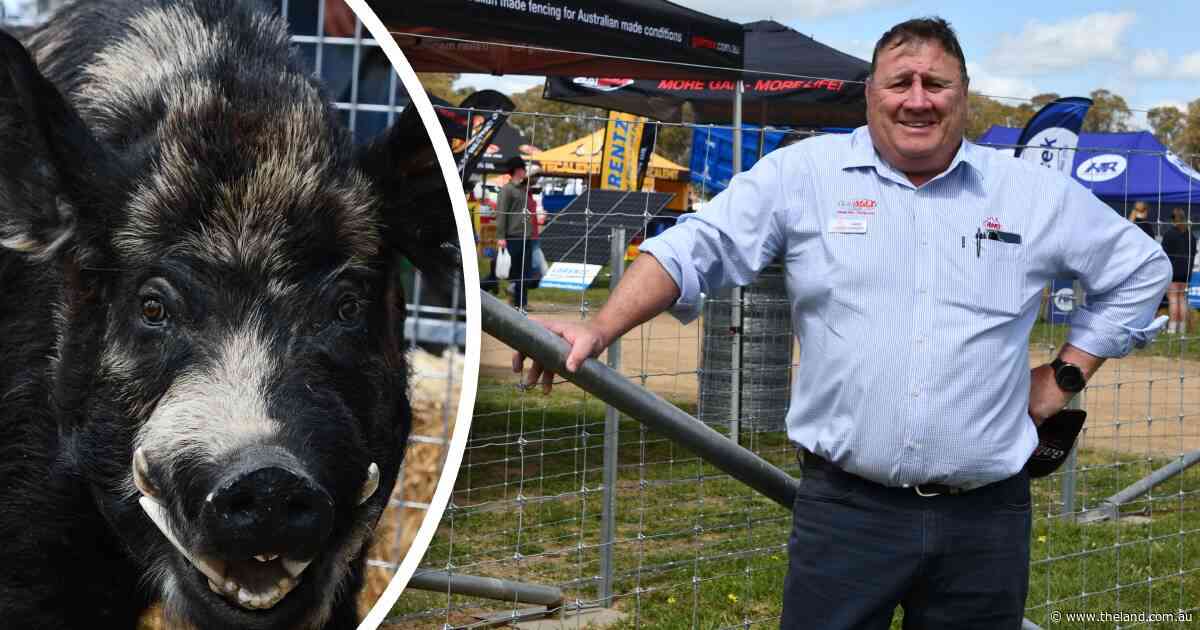 Cornered customers looking to exclusion fencing as feral pest problem worsens