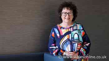 Elin Jones MS: Lessons learnt after 'painful' budget vote loss