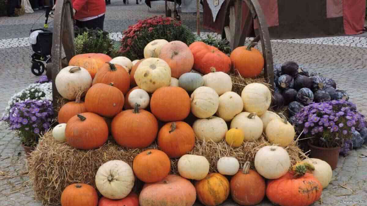 „Landwirtschaftliche Produkte und westfälische Lebensart“: Herbst-Flair auf besonderem Markt