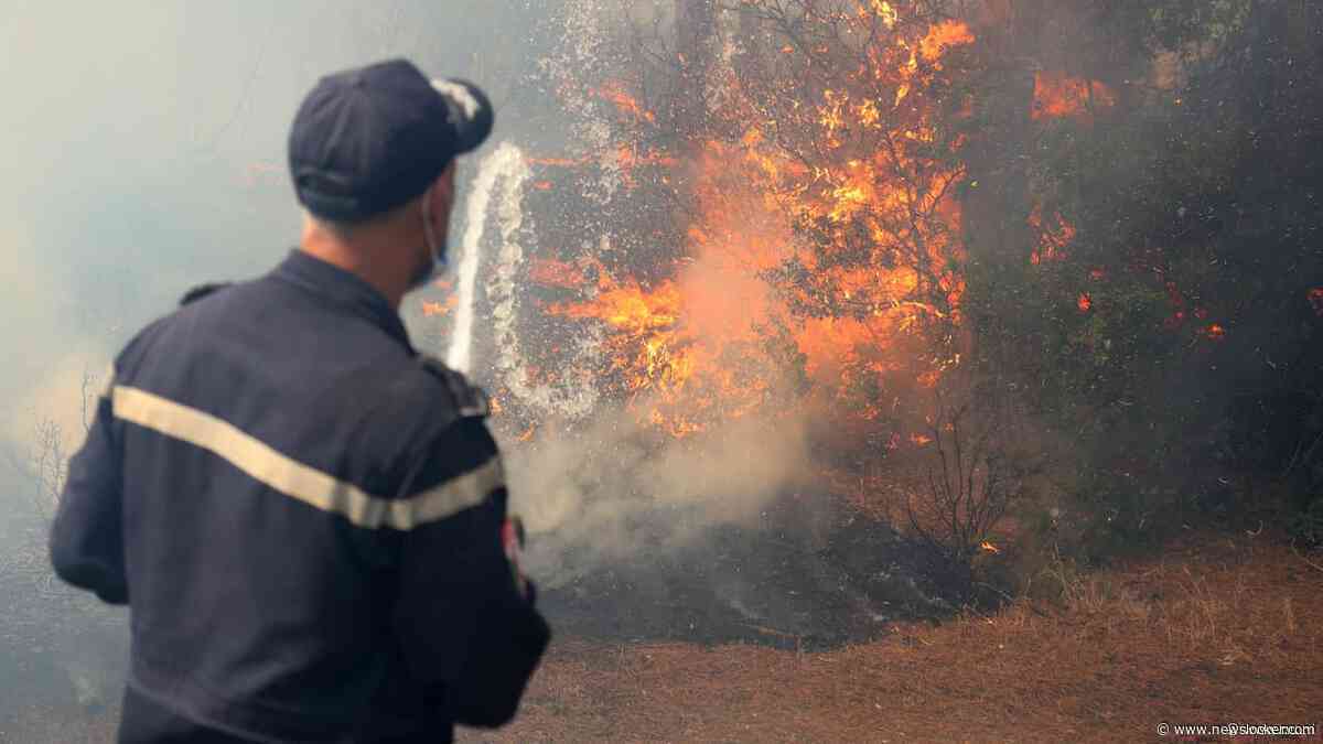 Algerije voert doodstraf in voor mensen die moedwillig bosbrand aansteken