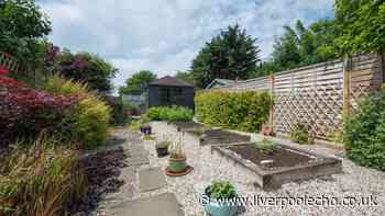People with garden fences urged to do 1 task before winter