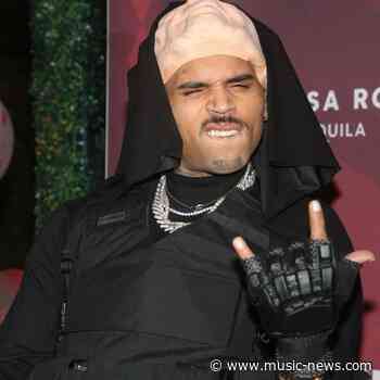 Chris Brown housekeeper accepts reduced award for dog mauling
