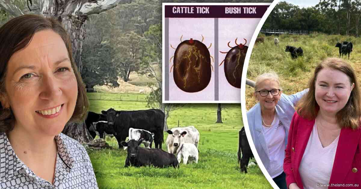 Graziers cautious on $21m tick strategy amid rising infestation risk