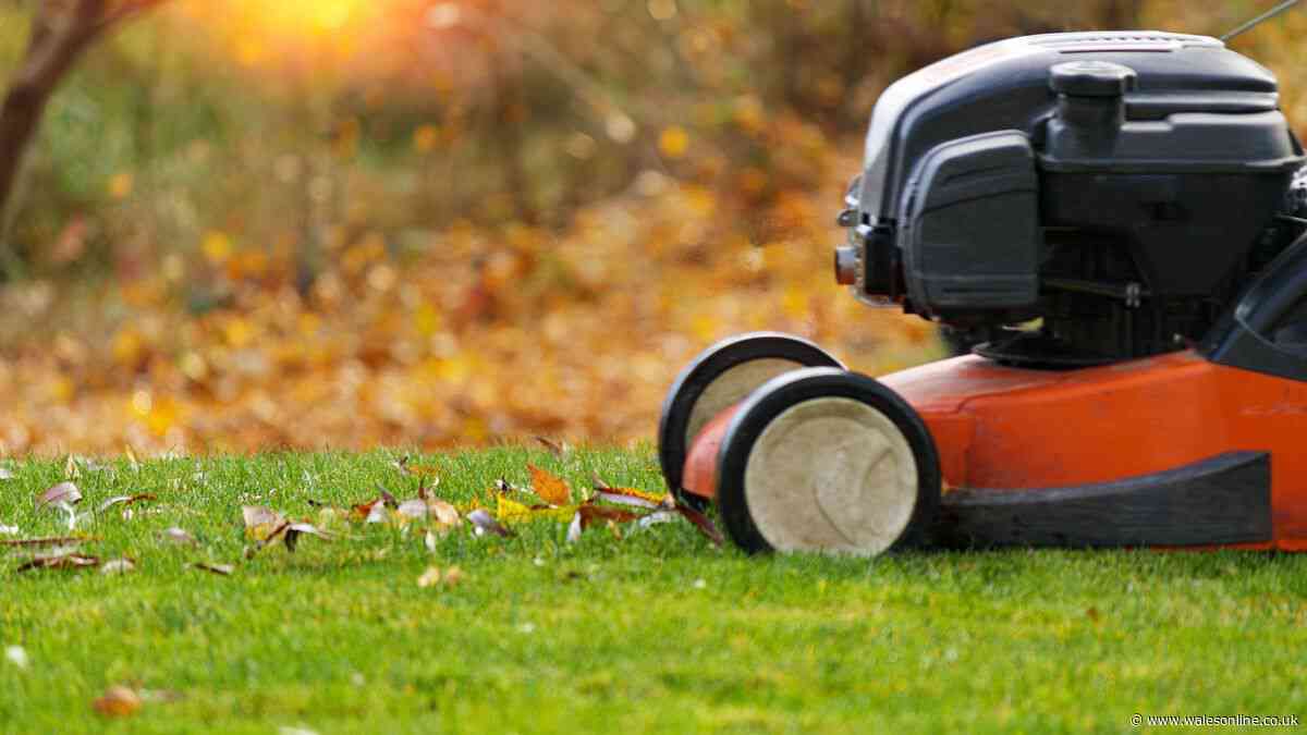 When to stop mowing the lawn for winter — time is running out