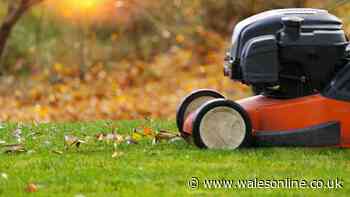 When to stop mowing the lawn for winter — time is running out