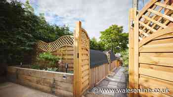 Anyone with a garden fence should do this 1 crucial job before November