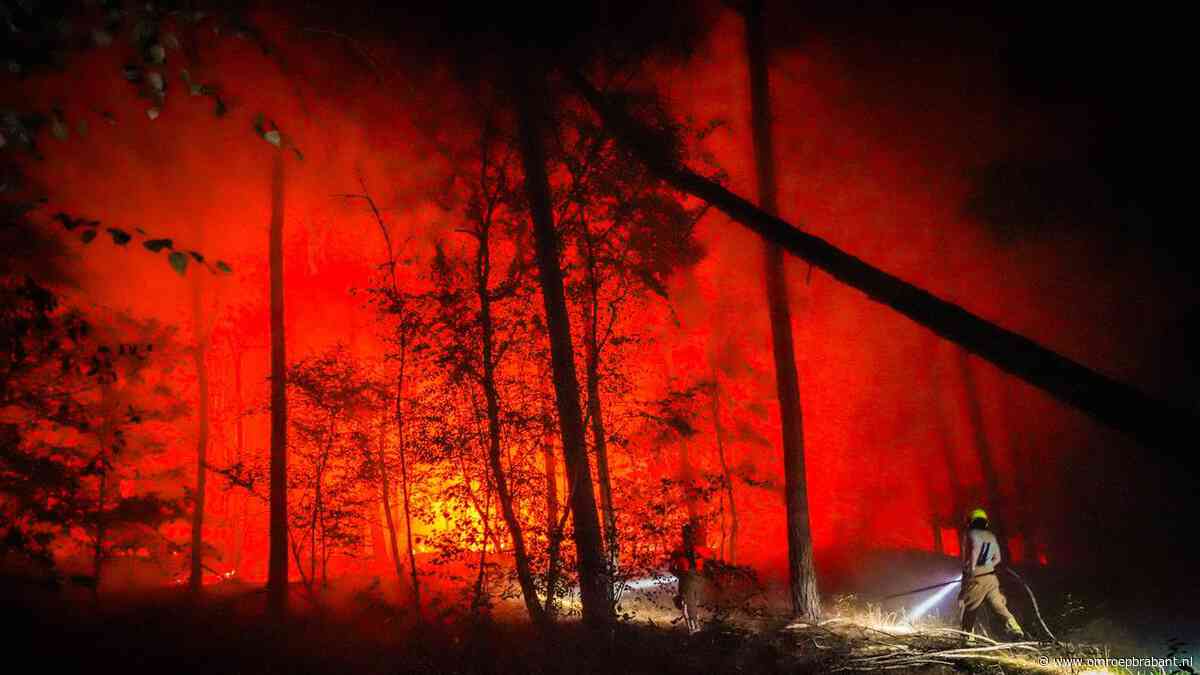 Rapport: oorzaak brand natuurgebied op grens met Limburg blijft onduidelijk