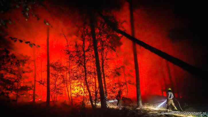 Rapport: oorzaak brand natuurgebied op grens met Limburg blijft onduidelijk