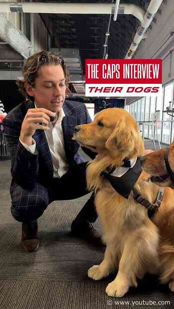 No microphones were eaten in the making of this video #ALLCAPS