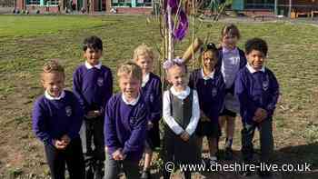 Chester's newest school officially opens its doors