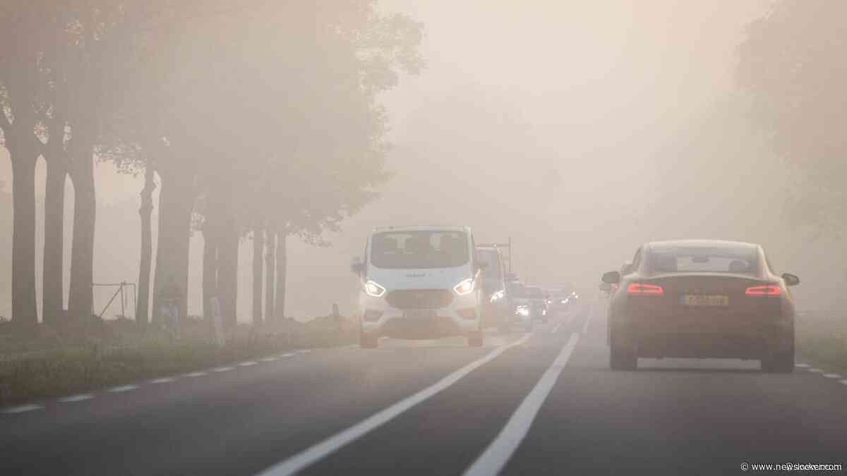 Code geel in vijf provincies vanwege dichte mist: 'Kan verkeersbelemmerend zijn'