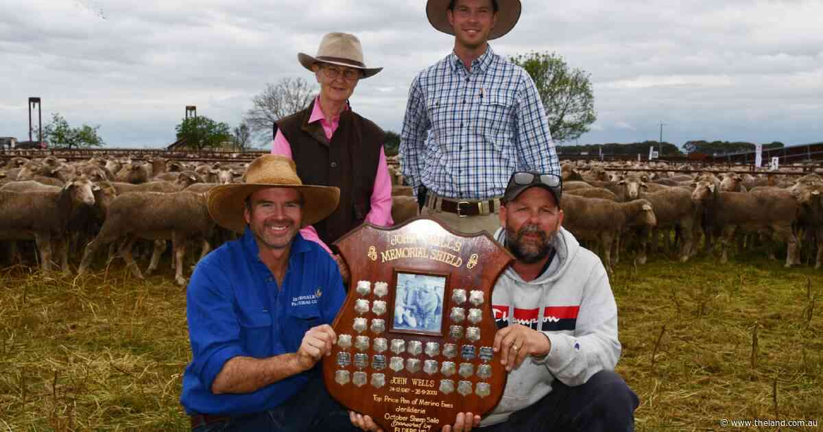 Record result for Merinos achieved at Jerilderie's final John Wells Memorial Sale