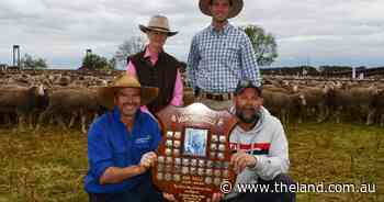 Record result for Merinos achieved at Jerilderie's final John Wells Memorial Sale
