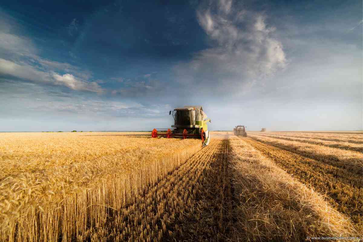 Opinion: Bright future for fibres, food and gold