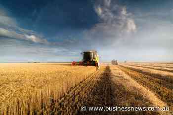 Opinion: Bright future for fibres, food and gold