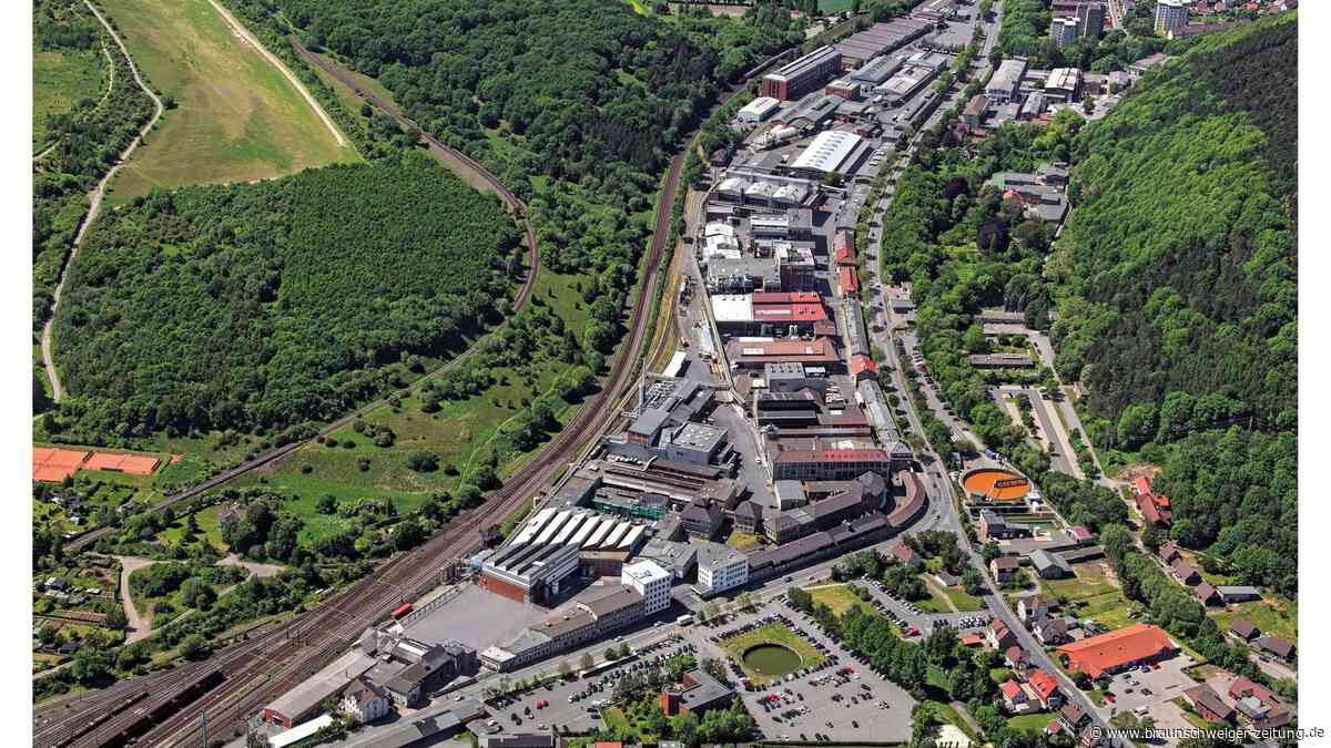 Für die Sonne auf Erden: Goslarer Firma entwickelt Pulver für Fusionsreaktoren