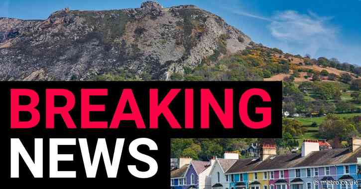 Boy, 6, dies after being hit by car with man arrested