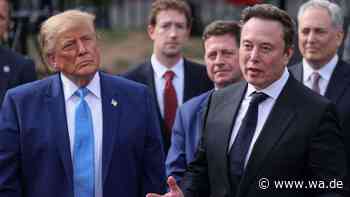 Erst DOGE, jetzt Kriegsführung: Musk kehrt mit neuer Machtposition zu Trump zurück