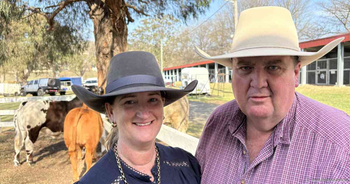 Led beef three-time champion shares tips on producing winning carcase entries