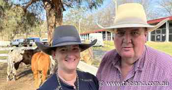 Led beef three-time champion shares tips on producing winning carcase entries