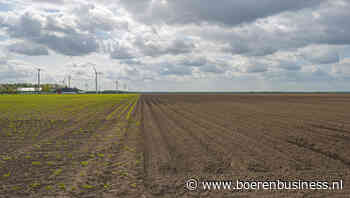 Meer landbouwgrond in handen van grote bedrijven
