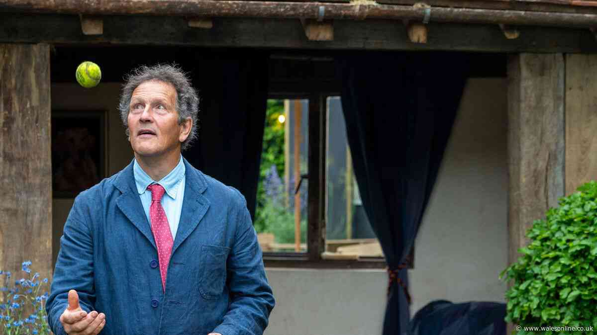 Protect hedgehogs in your garden by following Monty Don's October advice
