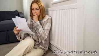 Just five appliances can add £800 a year to your energy bill on their own