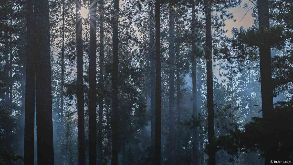 The hidden cost of getting discipline wrong