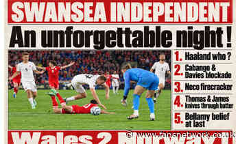 Wales win, the fans win and all of a sudden Bellamy is smiling again