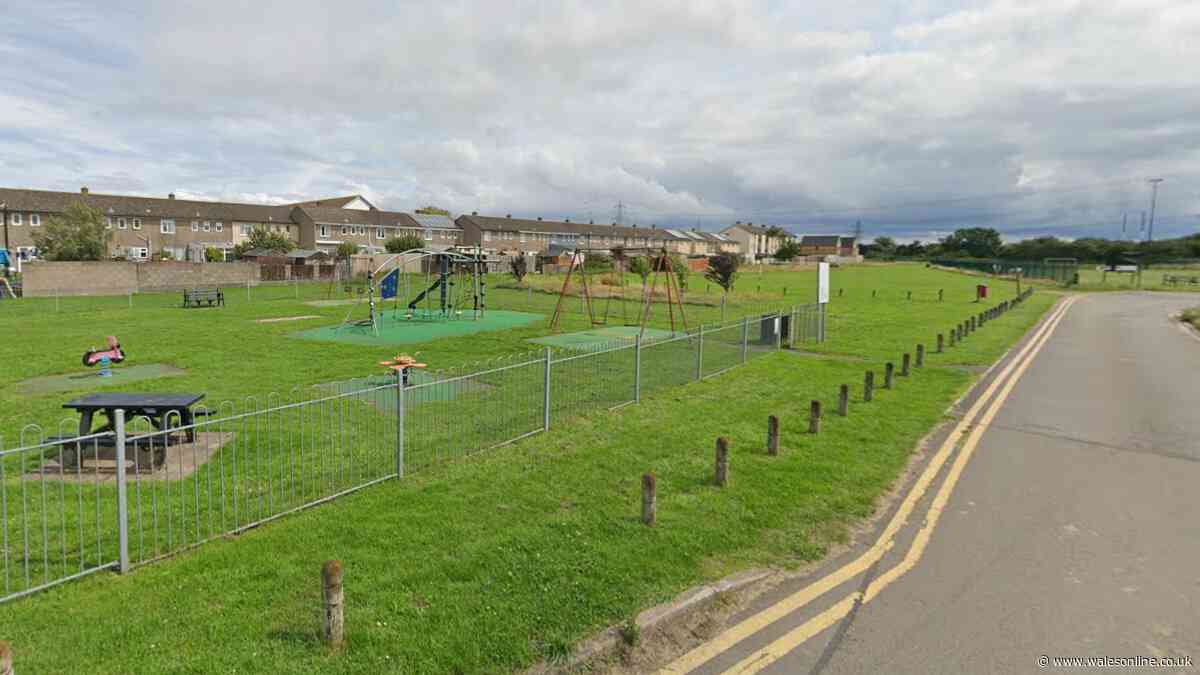 Girl, 10, injured in Caldicot dog attack at playing fields