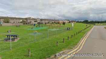 Girl, 10, injured in Caldicot dog attack at playing fields