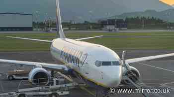 Budget airline Ryanair cancels 1,000 flights and 'collapse' is blamed