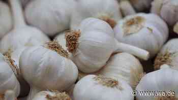 Deshalb gehört der Knoblauch jetzt in die Erde